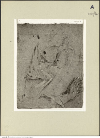 Vorderseite von bh246023_recto