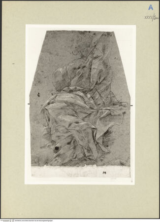 Vorderseite von bh246024_recto