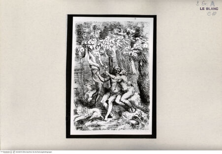 Vorderseite von bh246076