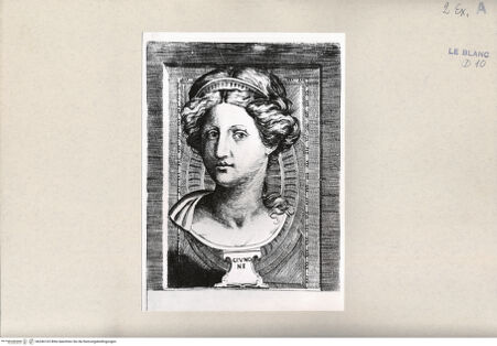 Vorderseite von Bibliotheca Hertziana [http://creativecommons.org/publicdomain/mark/1.0/] Büste der Juno - , bh246103. Foto.