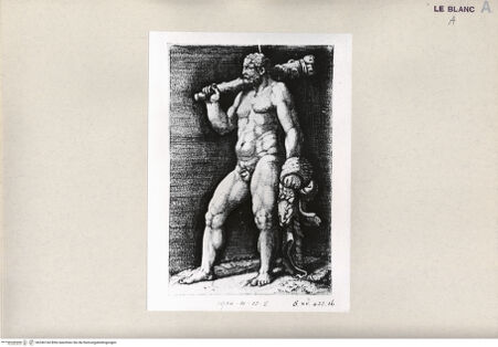 Vorderseite von bh246164