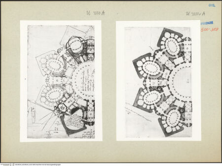 Vorderseite von bh246202_bh246203_recto