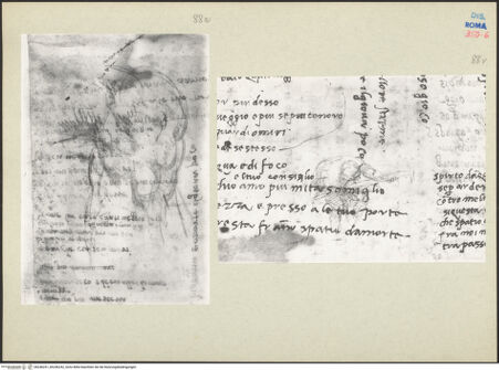 Vorderseite von bh246241_bh246242_recto