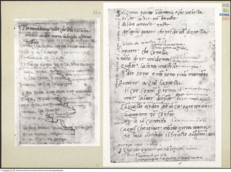 Vorderseite von bh246243_bh246244_recto