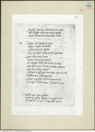 Vorderseite von bh246253_recto