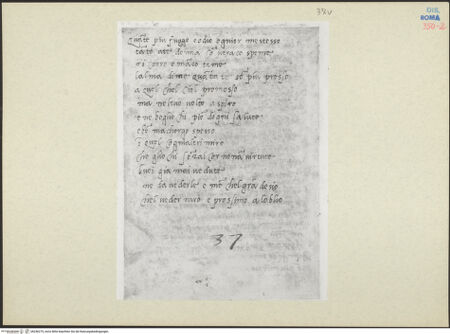 Vorderseite von bh246275_recto