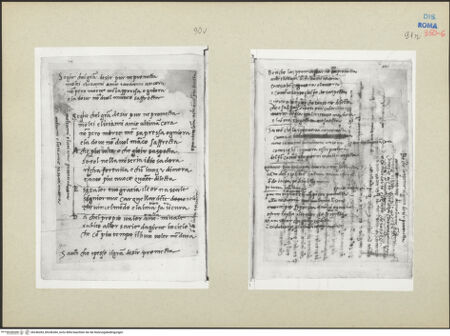 Vorderseite von bh246283_bh246284_recto