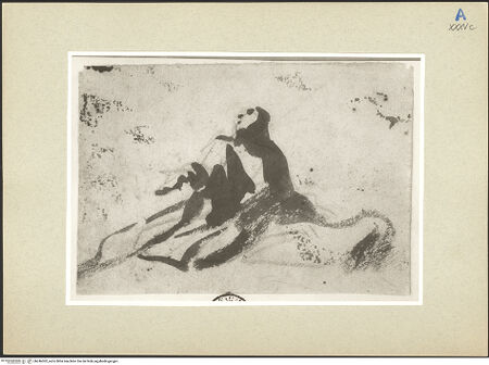 Vorderseite von bh246302_recto