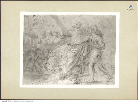 Vorderseite von bh246303_recto