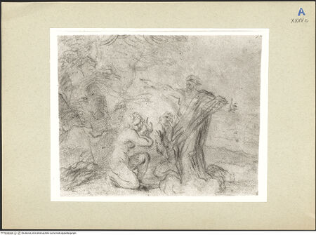 Vorderseite von bh246304_recto