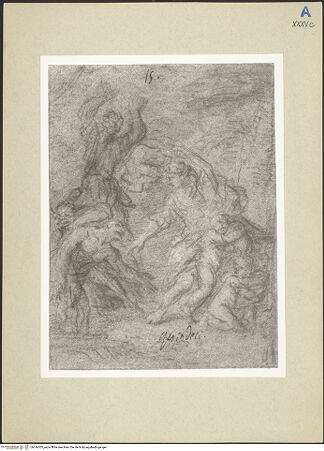 Vorderseite von bh246305_recto