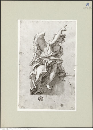 Vorderseite von bh246325_recto