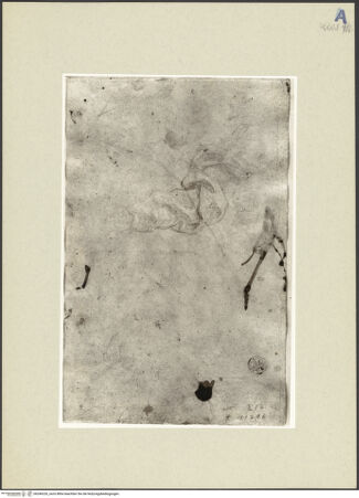 Vorderseite von bh246326_recto