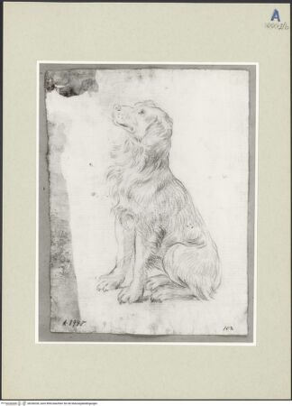 Vorderseite von bh246328_recto