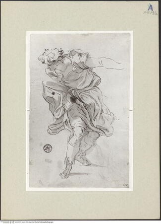 Vorderseite von bh246333_recto