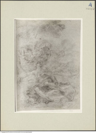 Vorderseite von bh246334_recto