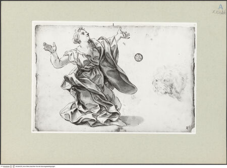 Vorderseite von bh246335_recto