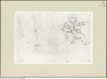 Vorderseite von bh246338_recto