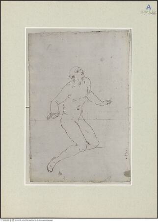 Vorderseite von bh246346_recto