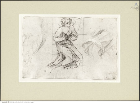 Vorderseite von bh246348_recto