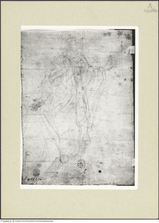 Vorderseite von bh246349_recto