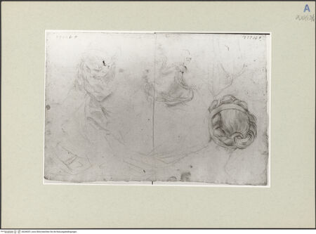 Vorderseite von bh246351_recto