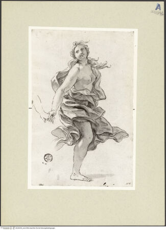 Vorderseite von bh246353_recto