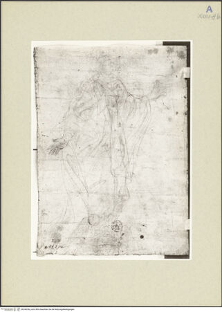 Vorderseite von bh246356_recto