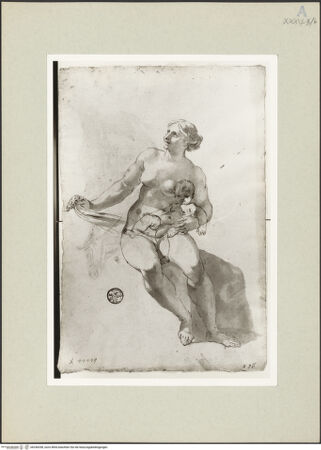 Vorderseite von bh246358_recto