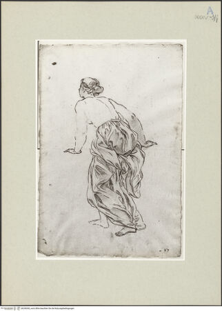 Vorderseite von bh246360_recto