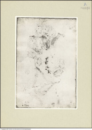 Vorderseite von bh246363_recto