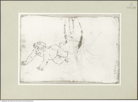 Vorderseite von bh246365_recto