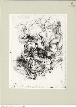 Vorderseite von bh246368_recto