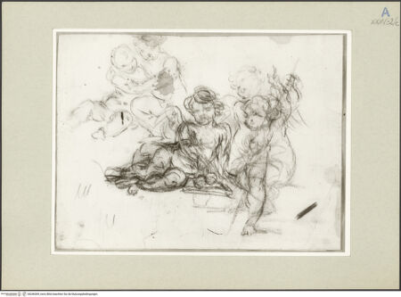 Vorderseite von bh246369_recto