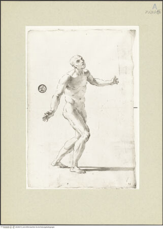 Vorderseite von bh246372_recto