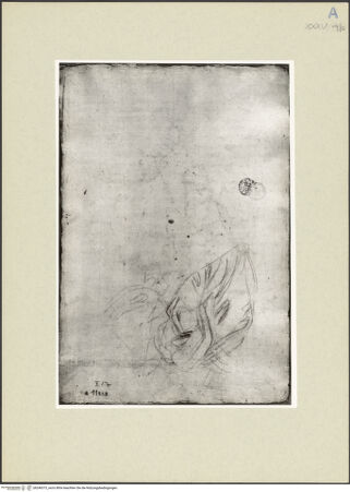 Vorderseite von bh246373_recto