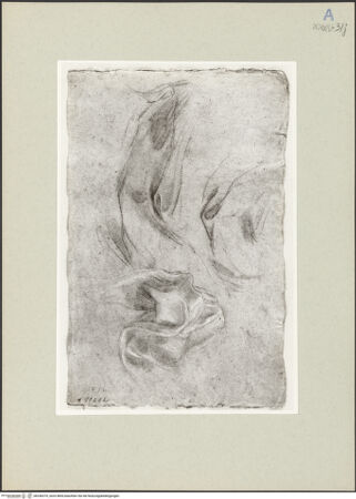 Vorderseite von bh246375_recto