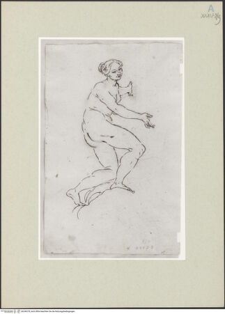 Vorderseite von bh246378_recto