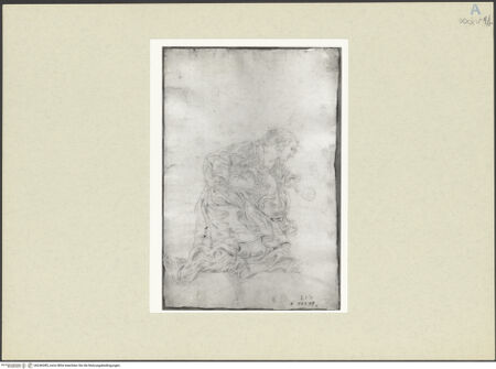 Vorderseite von bh246385_recto