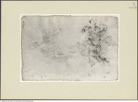 Vorderseite von bh246391_recto