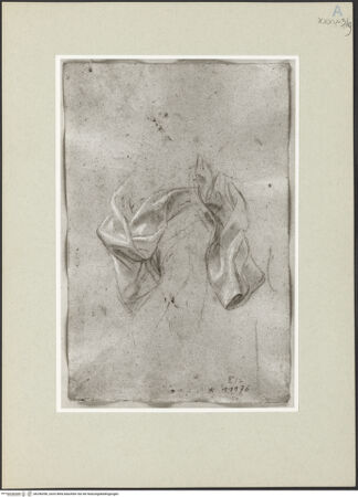 Vorderseite von bh246396_recto