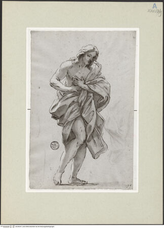 Vorderseite von bh246397_recto