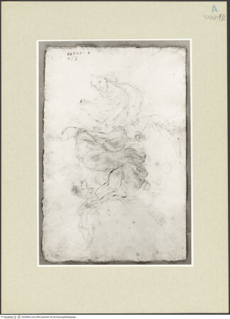 Vorderseite von bh246405_recto