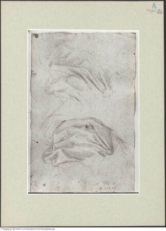 Vorderseite von bh246417_recto