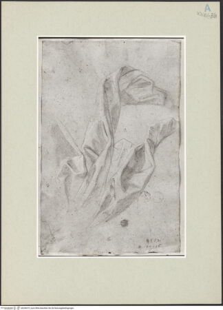 Vorderseite von bh246419_recto