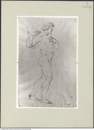 Vorderseite von bh246429_recto