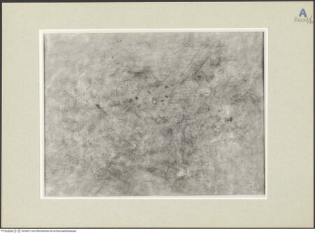 Vorderseite von bh246431_recto