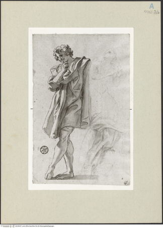 Vorderseite von bh246437_recto