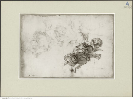 Vorderseite von bh246440_recto