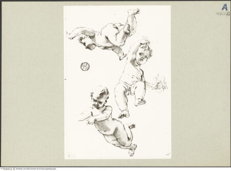 Vorderseite von bh246442_recto